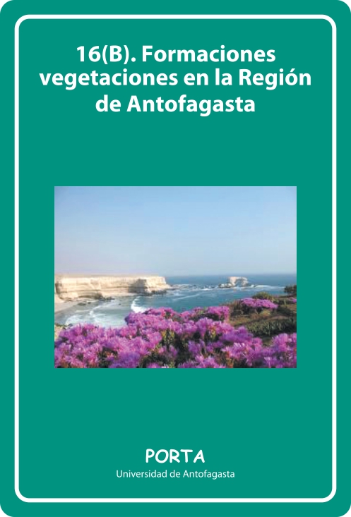 Portada Frontal